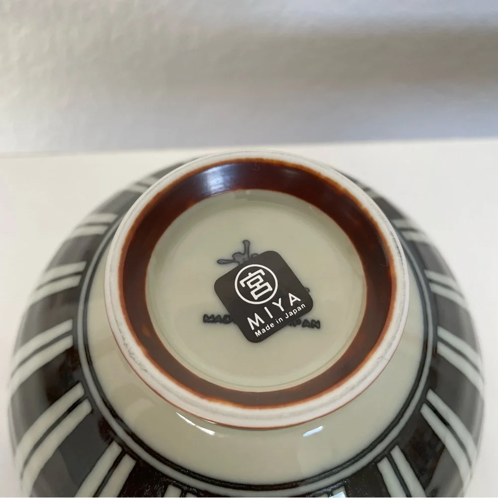Miya Japanese Glazed Ceramic Bowl Set